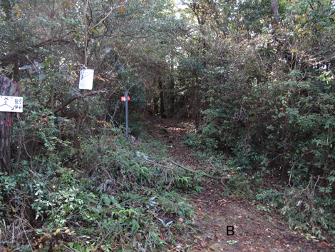 20131116hike (95)